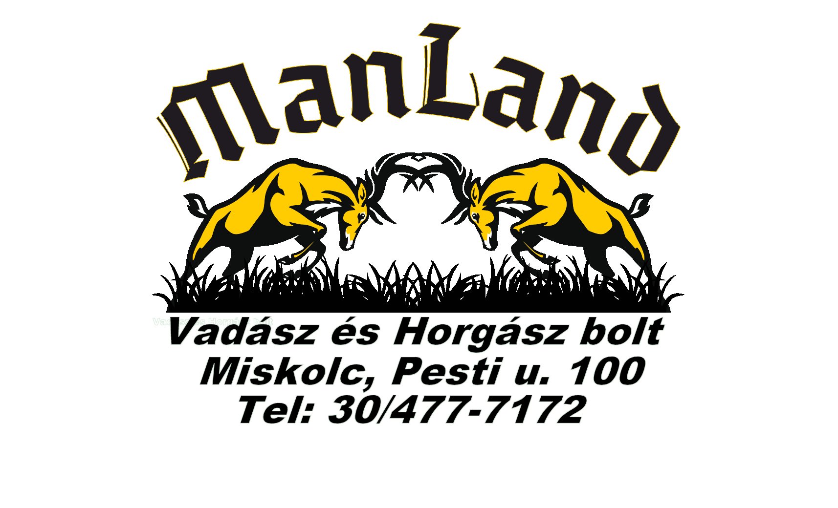 ManLand ismertető